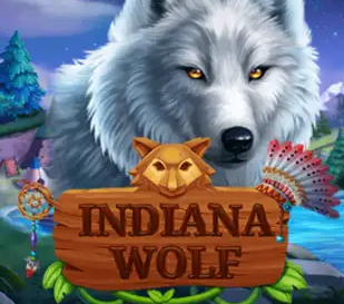 Indiana Wolf Petualangan Yang Berani Dan Menantang